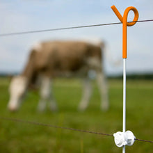 Pigtail Pfahl orange 10 Stück