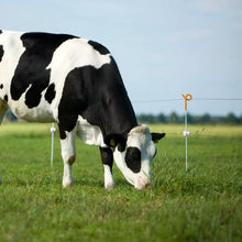 Pigtail Pfahl orange 10 Stück