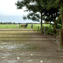 Multi-Leiter-Tor 4 x 40 mm Breitband / / 6 m