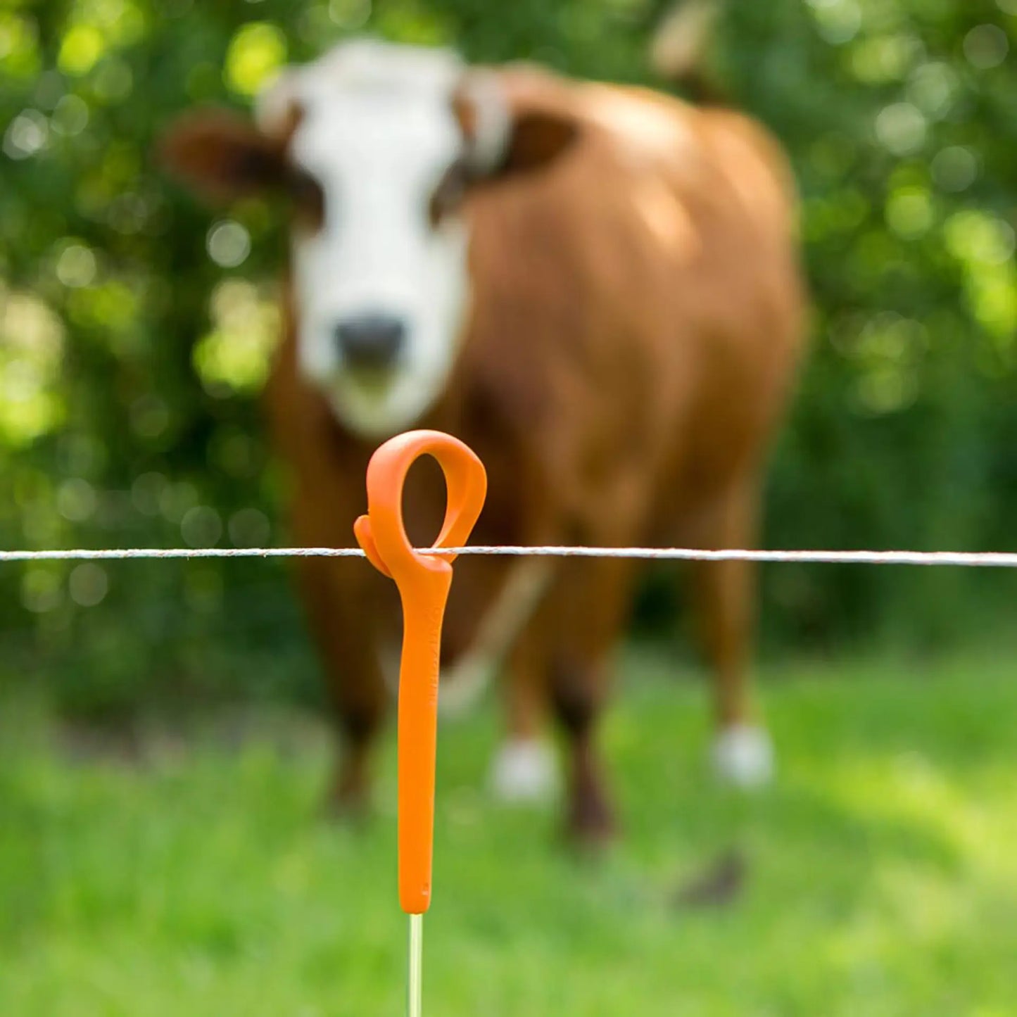Ring-Top Pfahl - 1,00 m 10 Stück