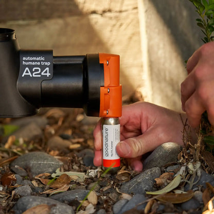 CO2-Gaskapseln 30er-Pack