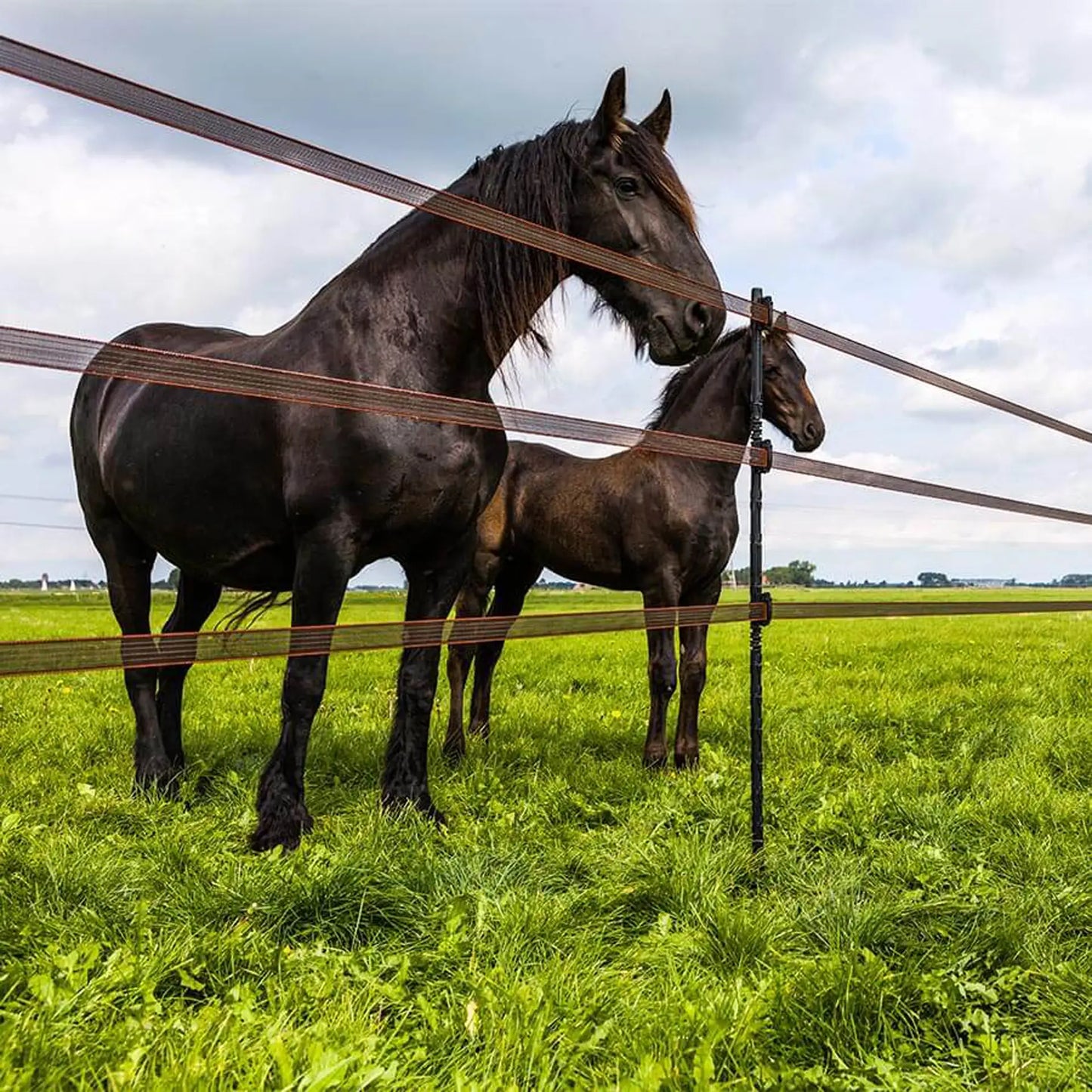 Gallagher Isolierter Line Post 1,40 m 4 Stück