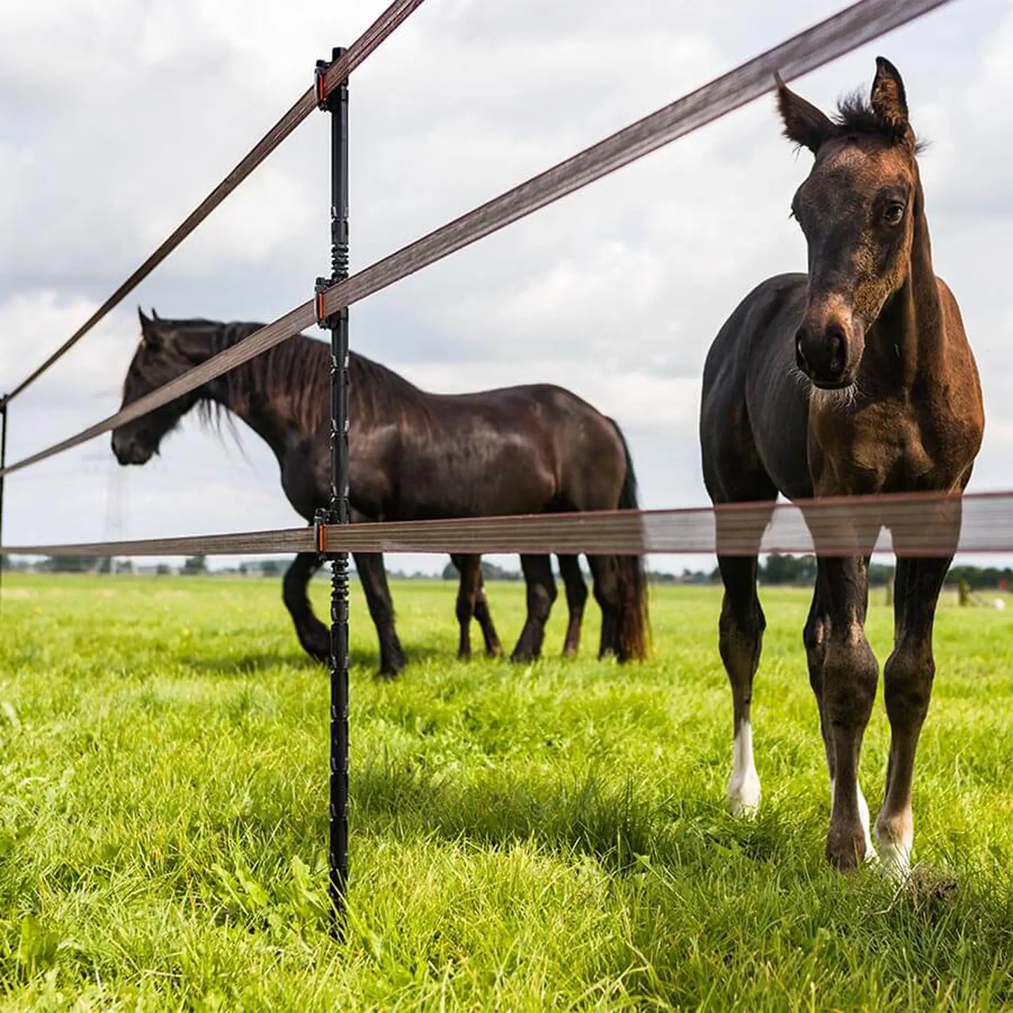 Gallagher Isolierter Line Post 1,40 m 4 Stück