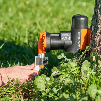 Digitaler Zähler Goodnature A24