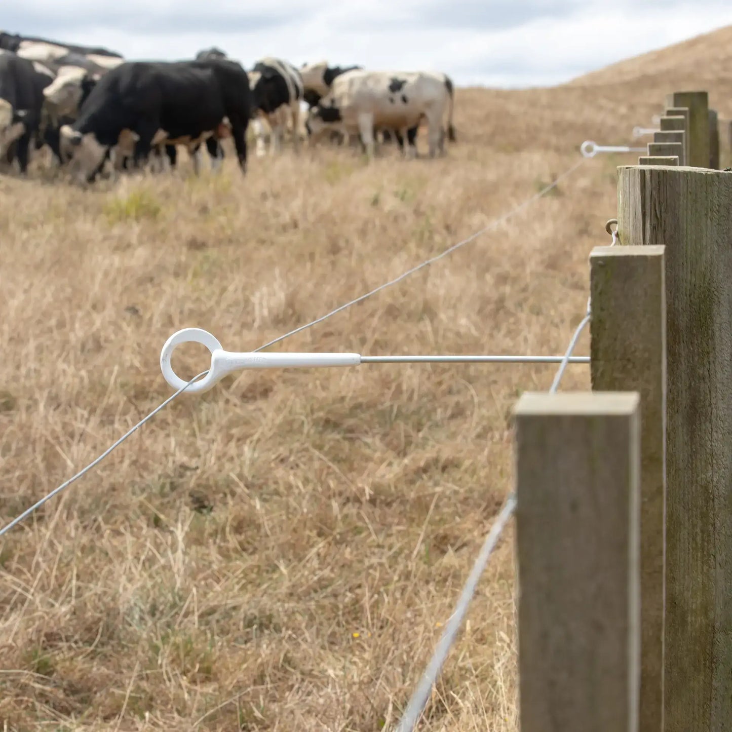 Distanzisolator Ringtop 40 cm 5 Stück