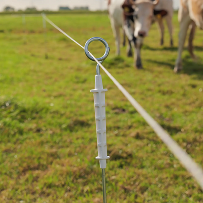 Elektrifizierter Ringtop-Pfahl 10 Stück