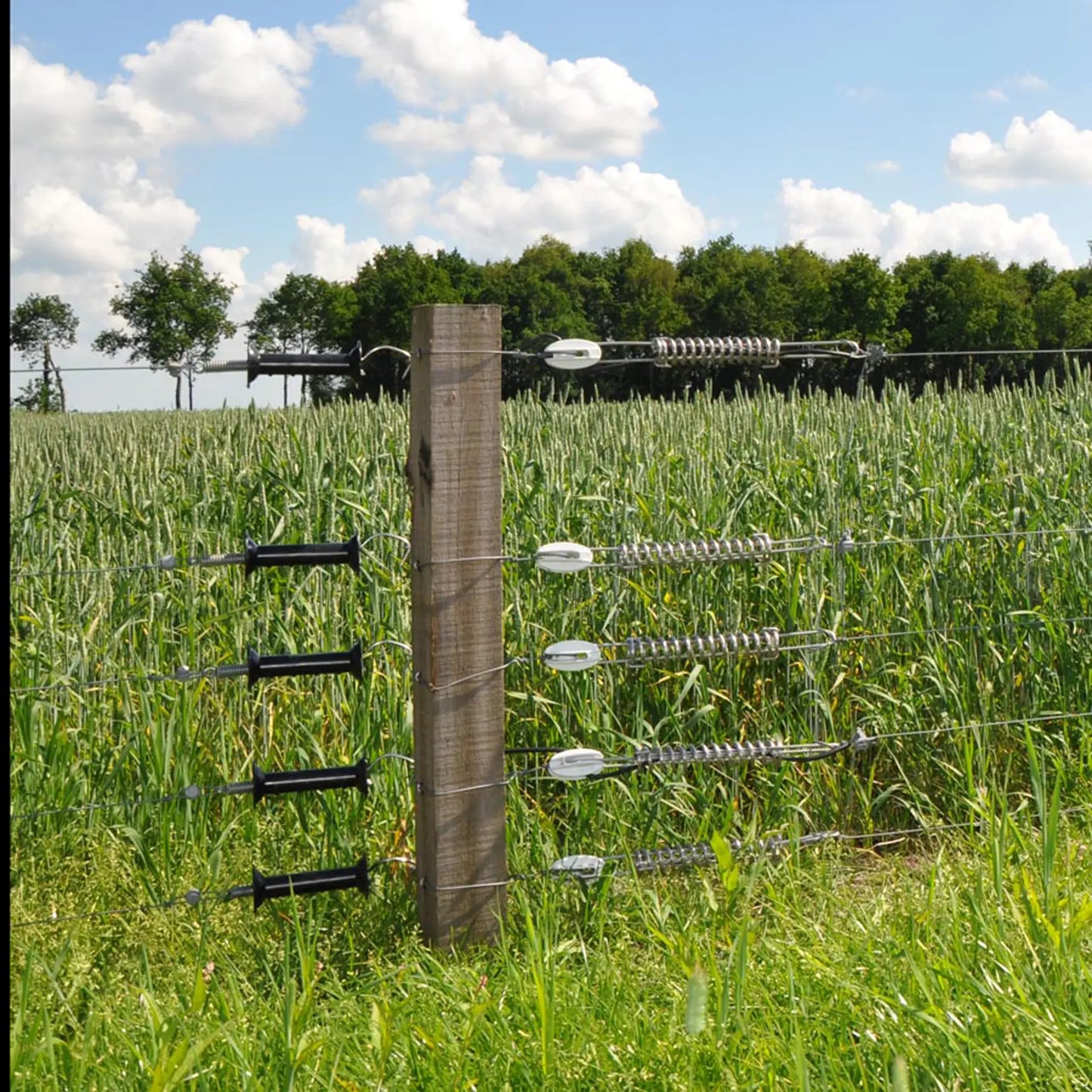 Insultimber Eckpfahl