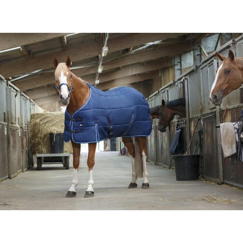 RIDING WORLD Stalldecke | marineblau | (206 cm)