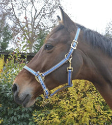 EQUITHÈME Halfter "Polyfun" | Pony | schwarz