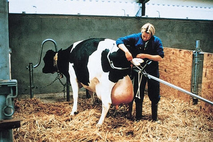 VINK Geburtshelfer für Milchkühe | Zugleistung 300 kg