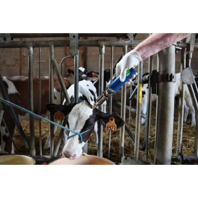 NETHORN Gasenthorner | mit 2 Kartuschen