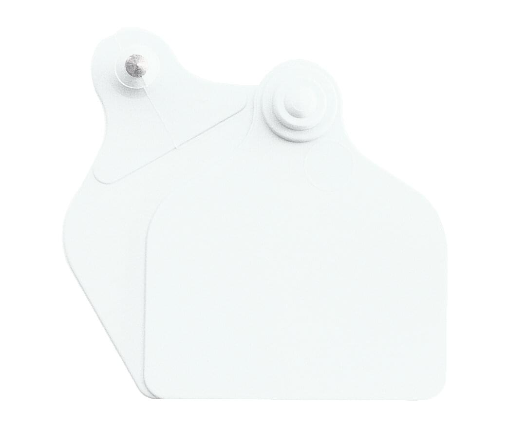 Ohrmarke Maxi + Maxi (71 mm x 63 mm) | 20 Stück | weiß