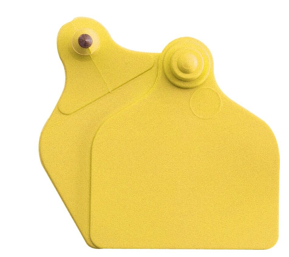 Ohrmarke Maxi + Maxi (71 mm x 63 mm) | 20 Stück |gelb