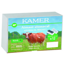 KAMER Käfigmagnet (15 mm x 55 mm) | 12 Stück