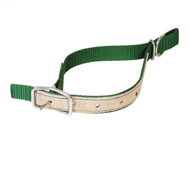 Nylon-Halsriemen für Schafe | lederverstärkt | grün