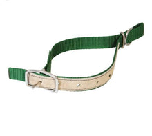 Nylon-Halsriemen für Schafe | lederverstärkt | grün