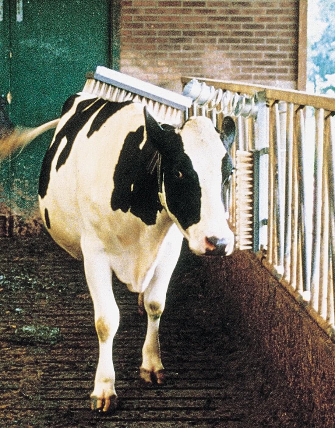 VINK Viehbürste aus Nylon