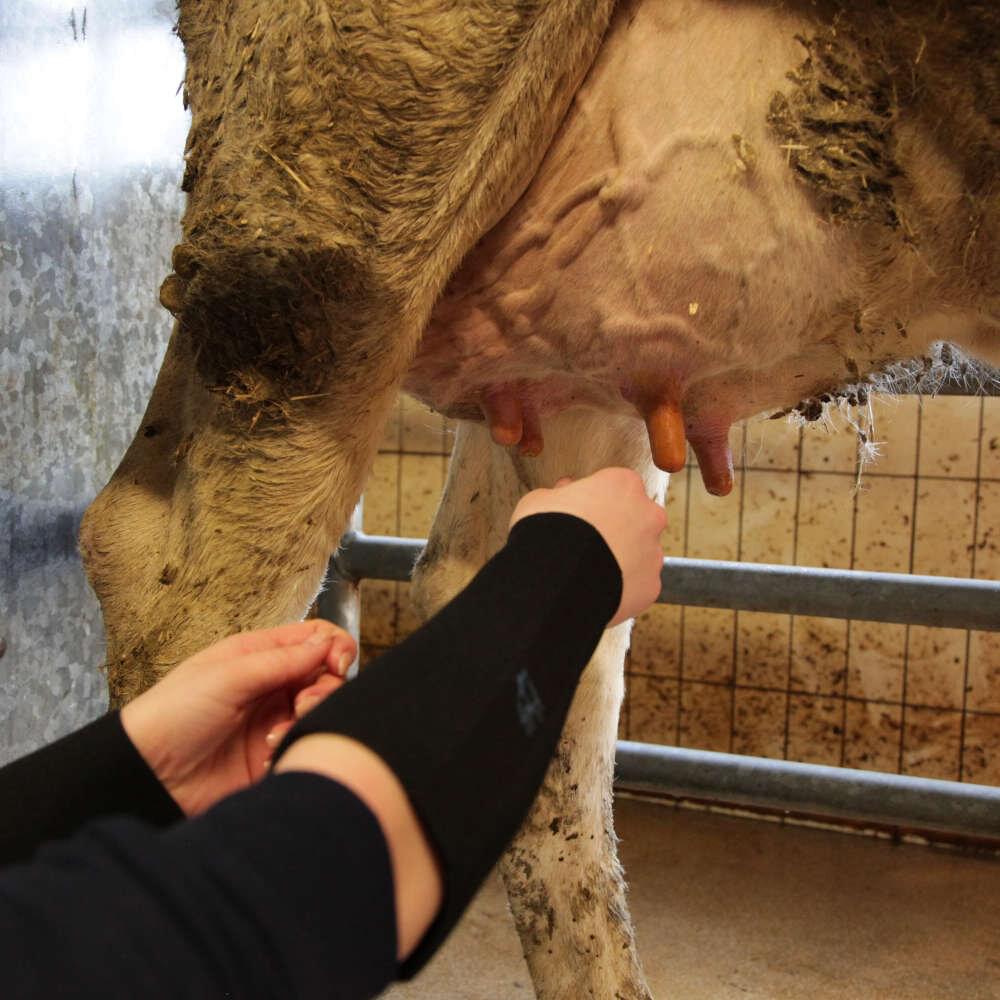 Septicare Neopren Ärmelschoner (2 Stück) | XXL