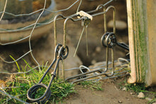 X-Falle (13 cm) | 2 Federn