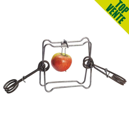 X-Falle (18 cm) | 2 Federn