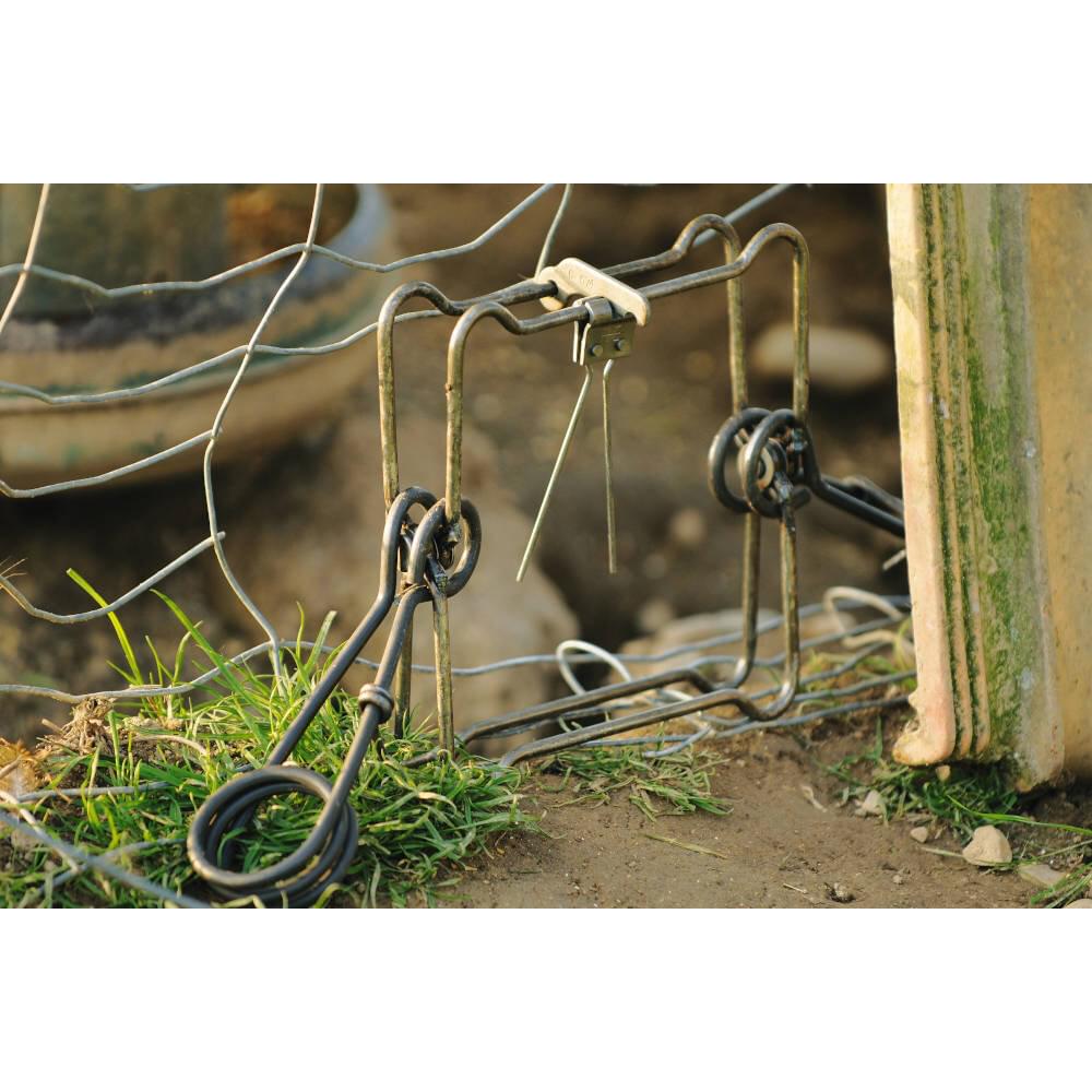 X-Falle (18 cm) | 2 Federn