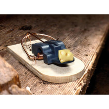 SWISSINNO Mausefalle | FSC- Holz |60 Stück im Karton