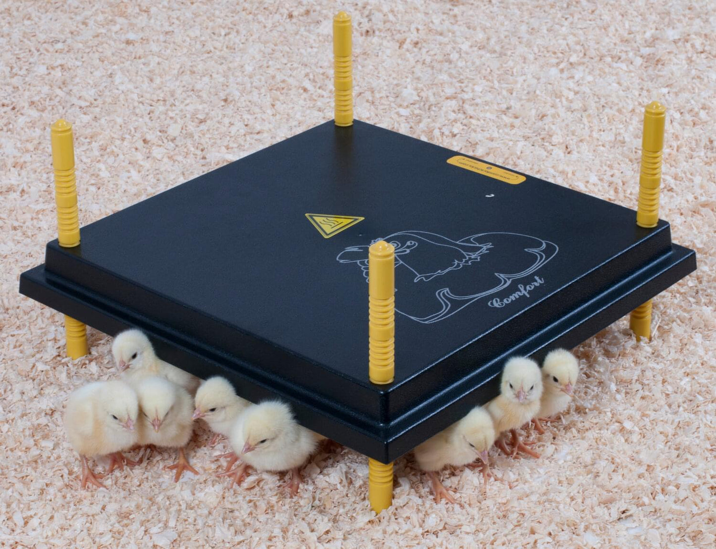 Wärmeplatte für Küken
