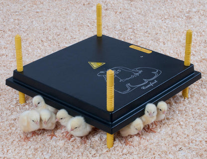 Wärmeplatte für Küken