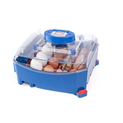 Borotto Brutapparat Lumia | automatisch | digital (16 Eier)