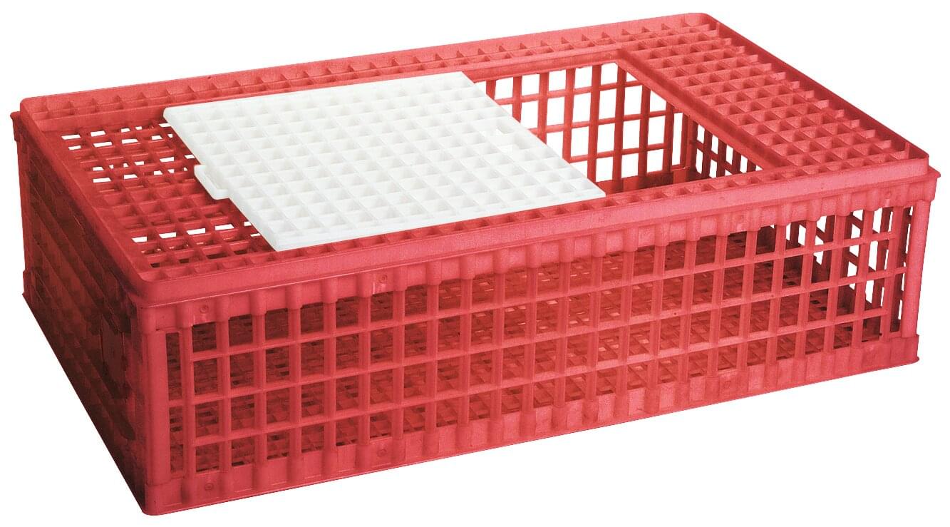 Geflügeltransportbox (28 cm) | 1 Tür | Kunststoff