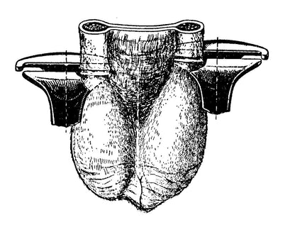 KAMER Kastrationszange aus Stahl | mit Gelenk (23 cm)