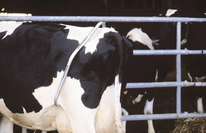 EBBERS Schlagfessel | verzinkt | Premium (montiert)