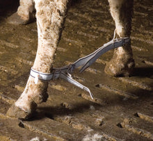 KAMER Fußfessel für Kühe | Nylon | blau