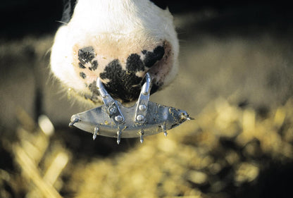 KAMER Viehsaugentwöhner Krause | Aluminium