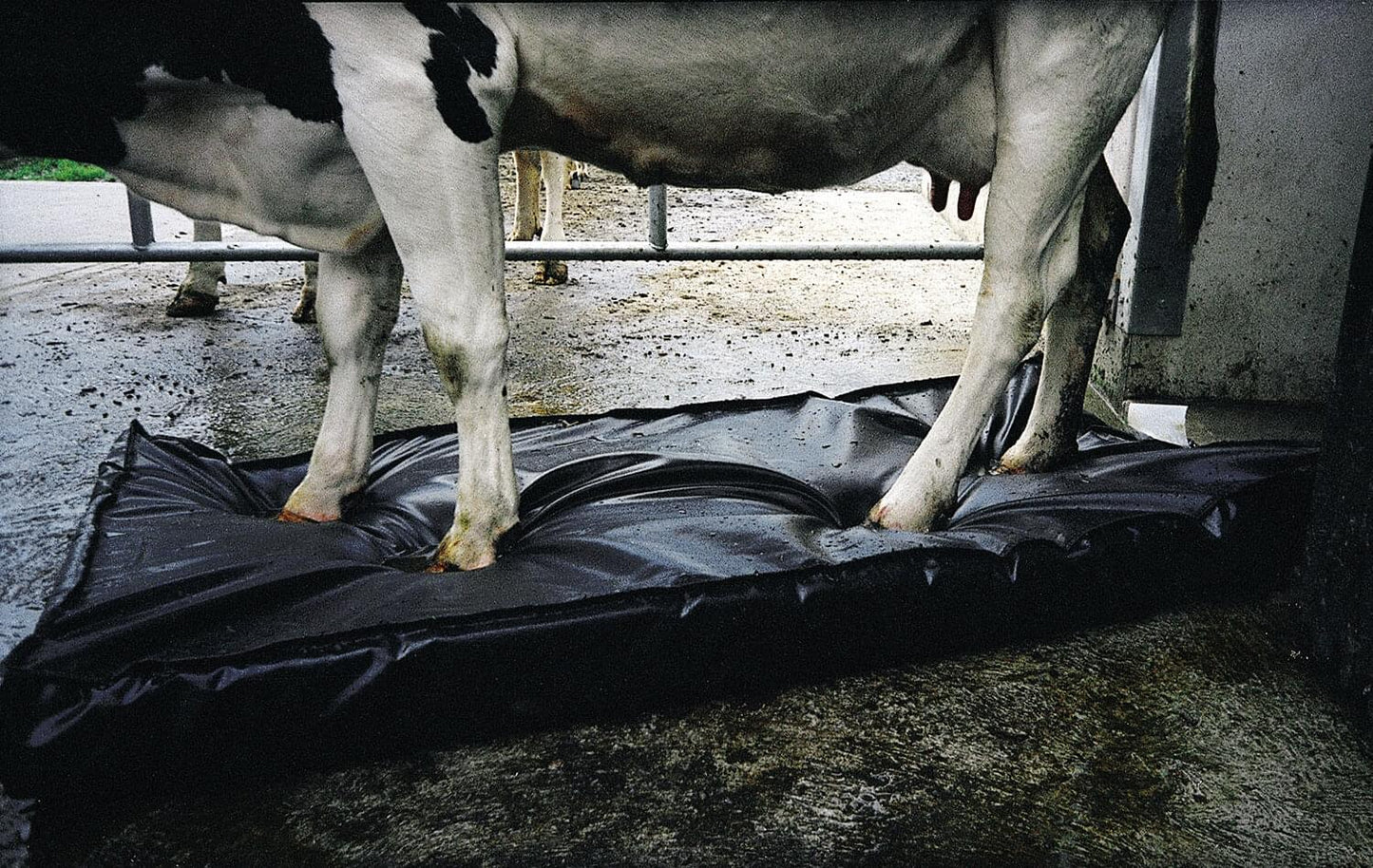 Septicare Desinfektionsmatte (180 cm x 90 cm x 10 cm) | 120 - 160 L