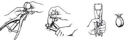 KAMER Gummiringe Kastration (100 Stück)