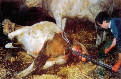 VINK Geburtshelfer für Schlachtrinder | Zugleistung 500 kg