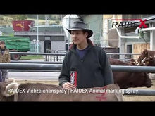 RAIDEX Viehzeichenspray für Rinder / Schweine (500 ml) | rot