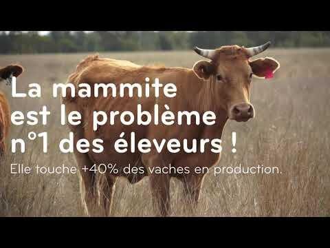 EUTRA Melkfett BIO | weiß (500 ml)