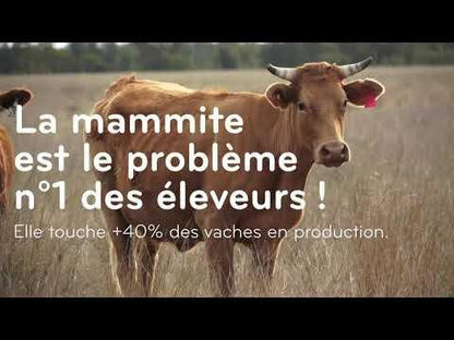 EUTRA Melkfett BIO | weiß (500 ml)