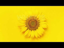 EUTRA Melkfett BIO | weiß (500 ml)