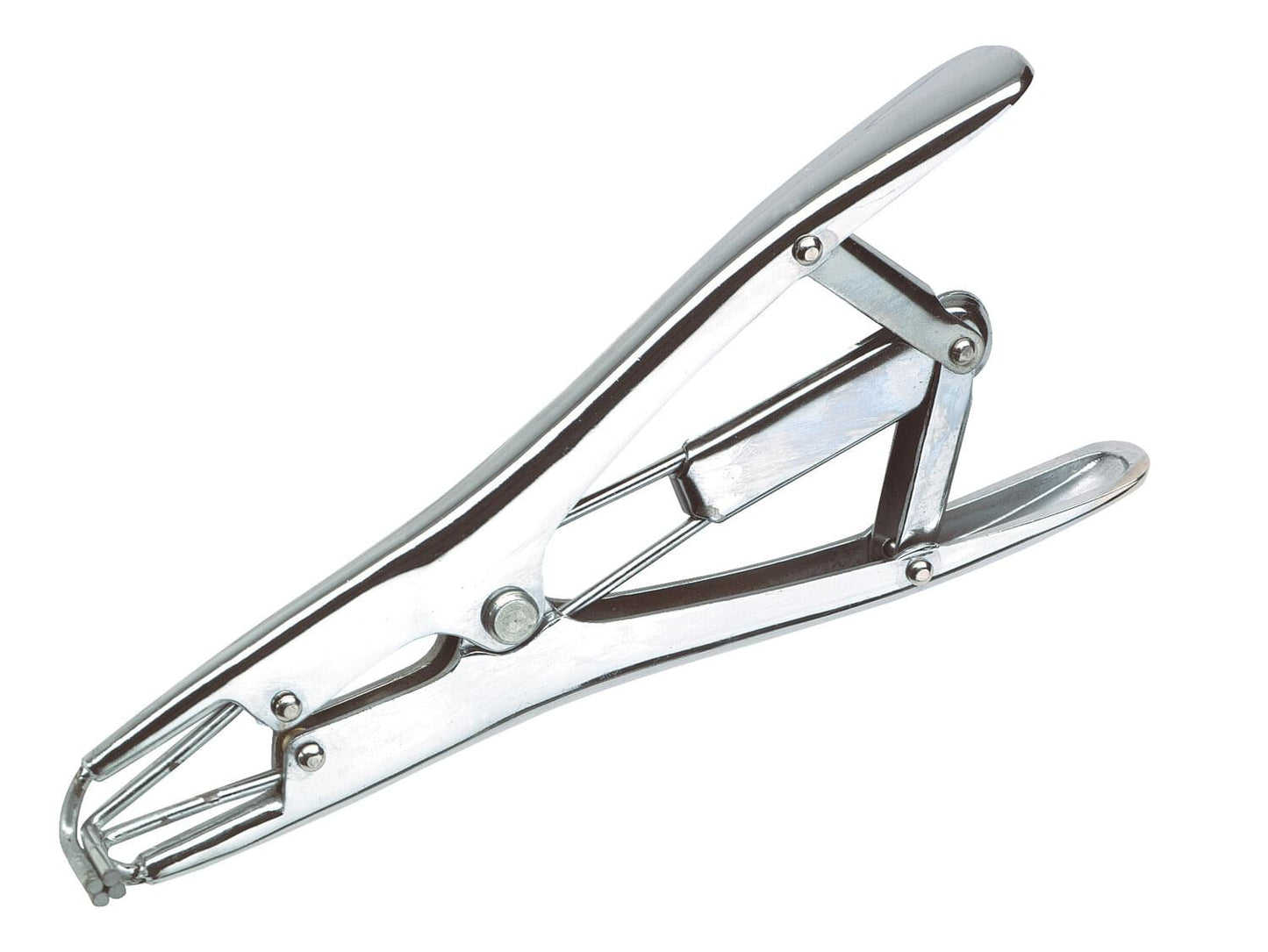 Spannzange Kastration | Stahl | Standardausführung