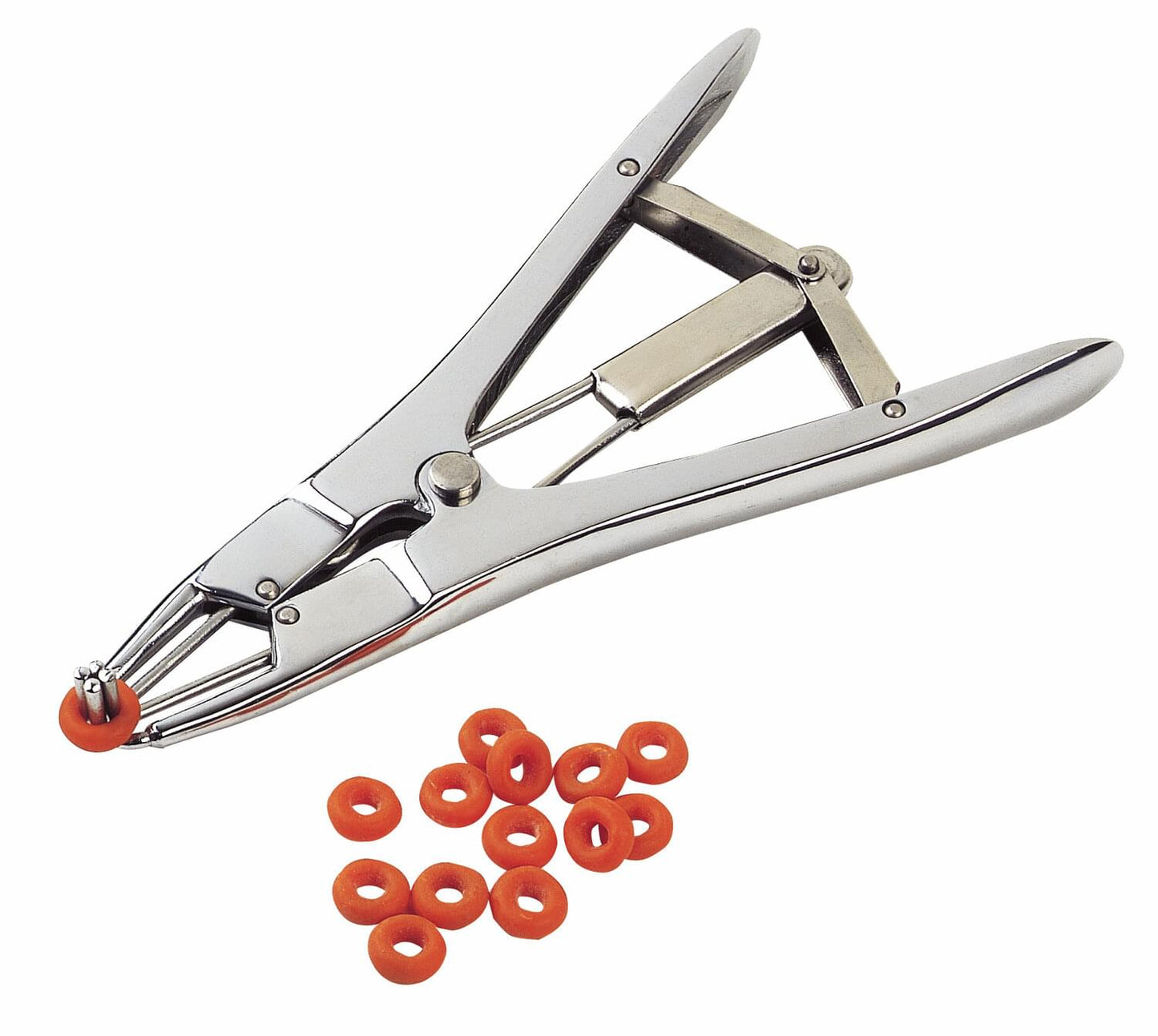 KAMER Spannzange Kastration | Stahl