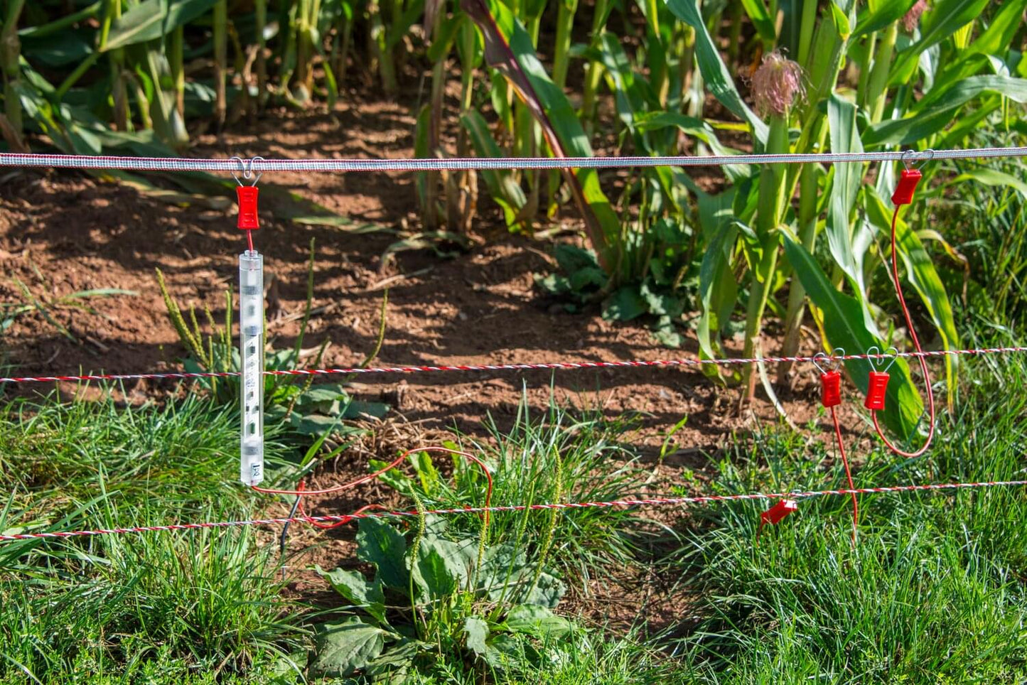 Weidezaunlitzenverbindungskabel