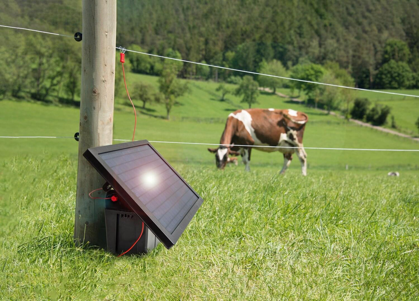 12 V Solar-Weidezaungerät mit Akku - ranger® AS120