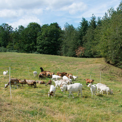 Schafnetz horinetz | 120 cm hoch | 50 m lang | Doppelspitze | elektrifizierbar