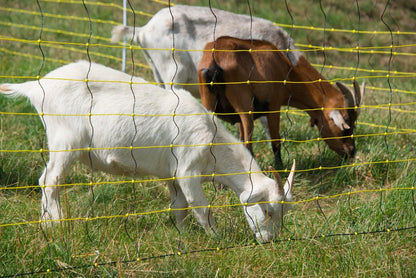 Schafnetz horinetz | 120 cm hoch | 50 m lang | Doppelspitze | elektrifizierbar
