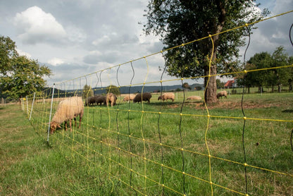 Vertikal-Netz | 90 cm hoch | 50 m lang | Einzelspitze | elektrifizierbar
