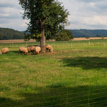 Vertikal-Netz | 90 cm hoch | 50 m lang | Doppelspitze | elektrifizierbar