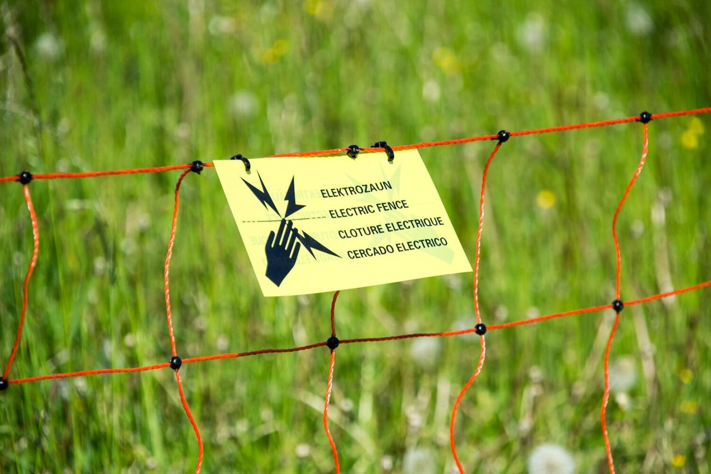 Schafnetz farmer®| PVC Pfähle| 90 cm hoch | 50 m lang | elektrifizierbar | Doppelspitze